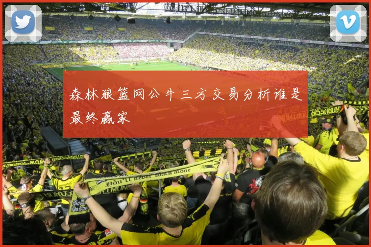 森林狼篮网公牛三方交易分析谁是最终赢家