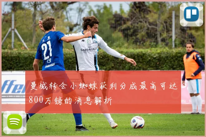 曼城转会小蜘蛛获利分成最高可达800万镑的消息解析